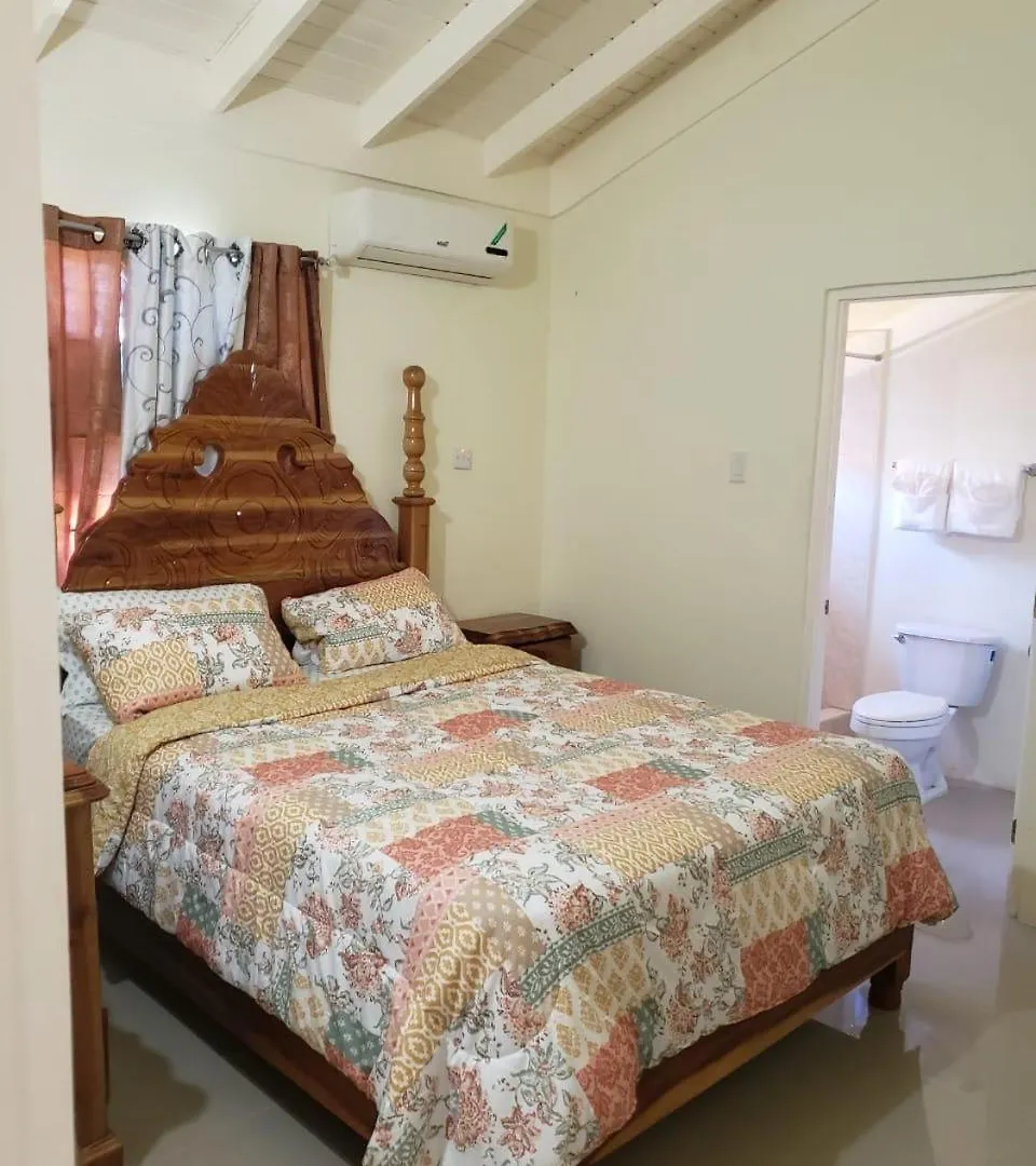 Prázdninový dům Chateau Bellview Falmouth Jamajka